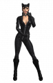 Catwoman.png